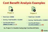 Costbenefit Analysis Examples Top 3 Cba Examples With Intended For Cost Effectiveness Analysis Template