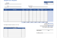 Free Expense Report Template Intended For Amazing Cost Report Template