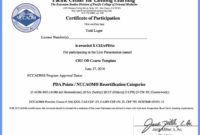 1011 I Owe You Certificate Template Lascazuelasphilly Pertaining To Printable Ceu Certificate Template