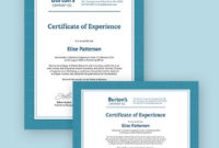 11 Job Experience Certificate Templates Pdf Word Ai Inside Printable Certificate Of Experience Template
