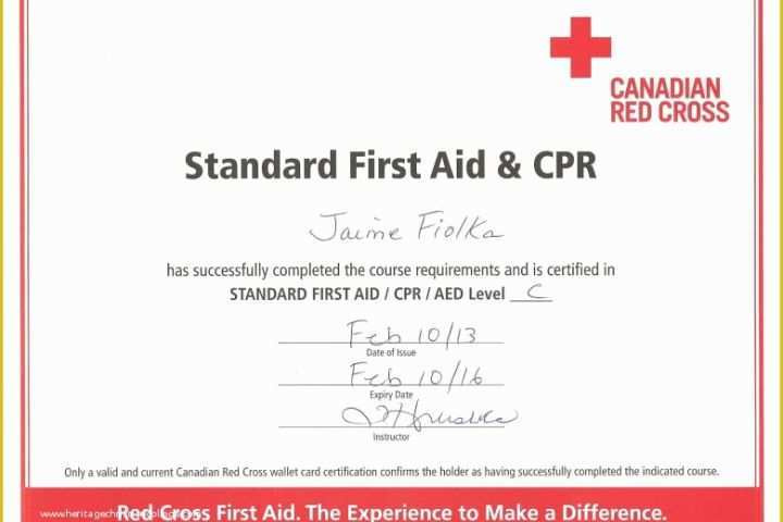35 First Aid Certificate Template Free With Regard To First Aid Certificate Template Free