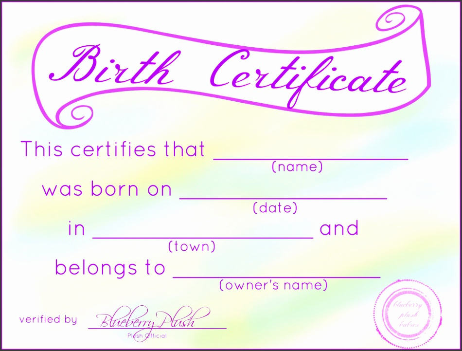 4 Birth Certificate Template Just For Fun With Regard To Quality Novelty Birth Certificate Template
