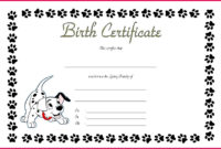 4 Blank Build A Bear Birth Certificate Template 95672 Within Build A Bear Birth Certificate Template