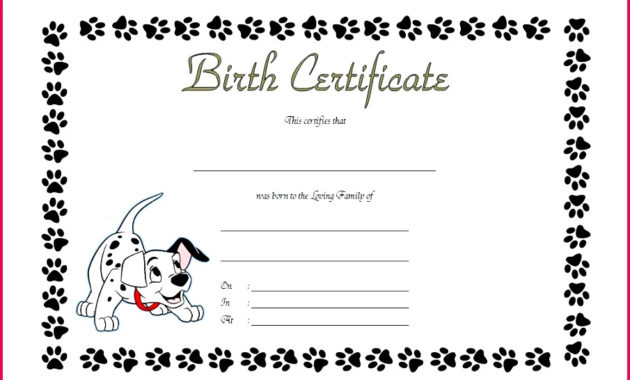4 Blank Build A Bear Birth Certificate Template 95672 Within Build A Bear Birth Certificate Template