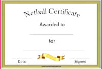 6 No Border Award Certificate Template 74055 Fabtemplatez Pertaining To Netball Certificate