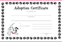 6 Pet Rock Adoption Certificate Template 83537 Fabtemplatez Within Blank Adoption Certificate Template