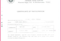 7 Template For Certificate Of Participation 39753 Intended For Fire Extinguisher Training Certificate Template