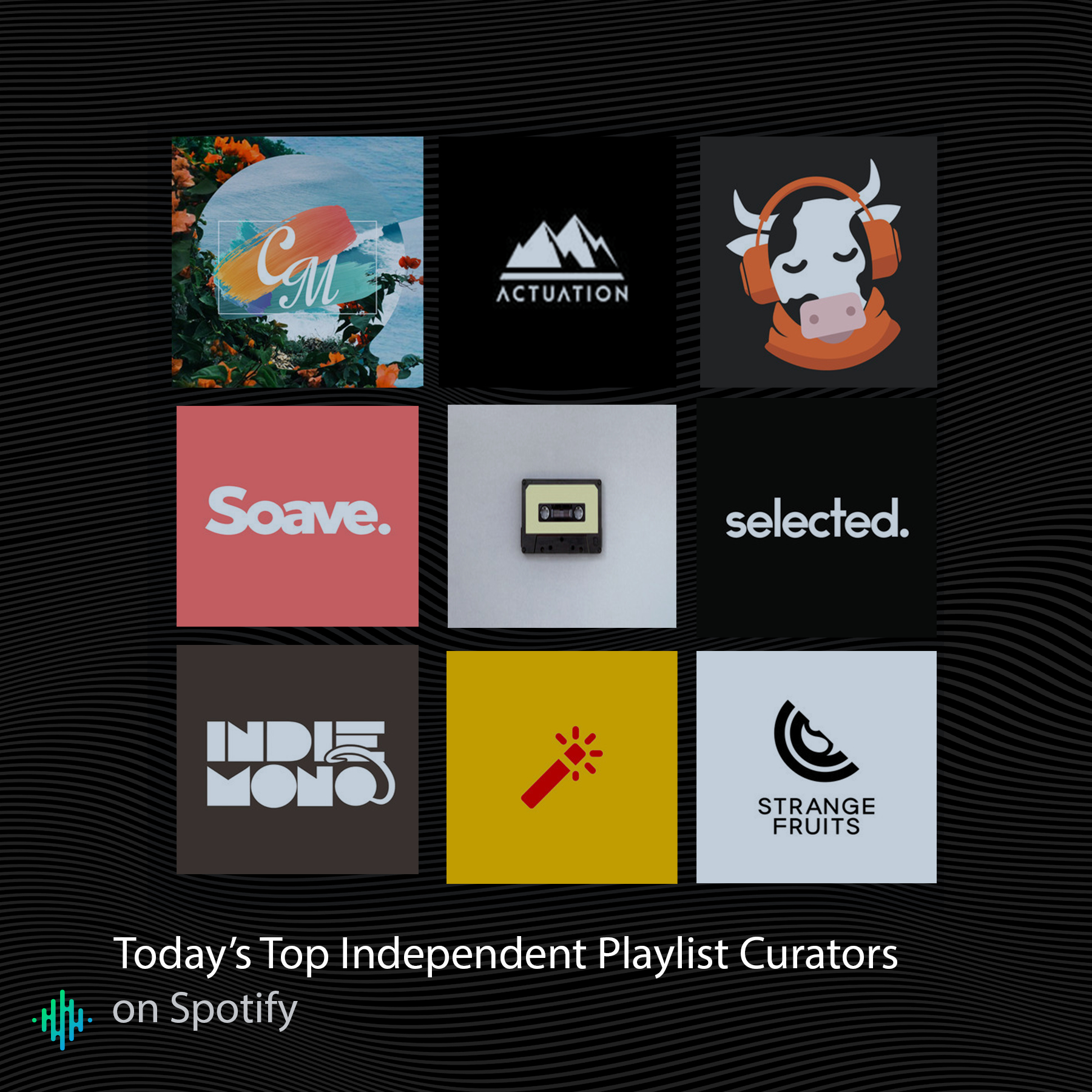 A List Of Independent Spotify Playlist Curators You Need For Independent Record Label Business Plan Template