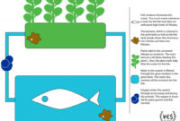 Aquaponics Teslas For Sustainable Society For Aquaponics Business Plan Templates