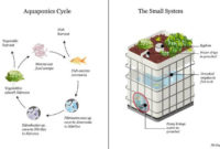 Aquaponics Teslas For Sustainable Society In Aquaponics Business Plan Templates