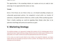 Business Consulting Company Business Plan Template Sample In Business Plan Template For Consulting Firm