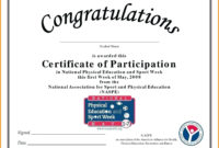 Certificate Of Participation In Workshop Template Throughout Best Sample Certificate Of Participation Template