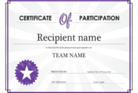 Certificate Of Participation Throughout Sample Certificate Of Participation Template