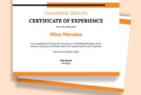 Company Job Experience Certificate Template Word Intended For Certificate Of Experience Template