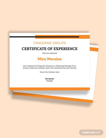 Company Job Experience Certificate Template Word Intended For Certificate Of Experience Template