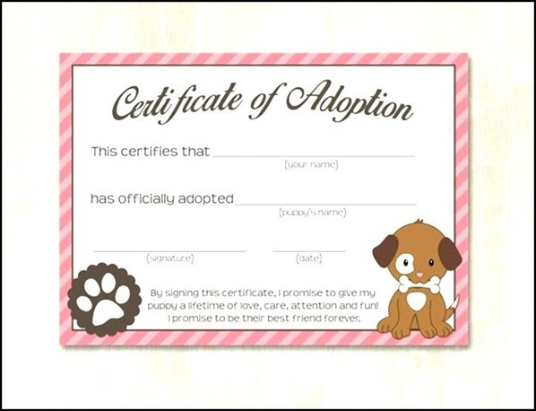 Dog Adoption Certificate Template Sample Templates Pertaining To Pet Adoption Certificate Template Free 23 Designs