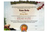 Durham Modern Martial Arts Lower Rank Certificate With Awesome Martial Arts Certificate Templates