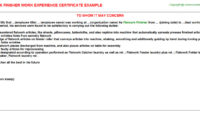 Flatwork Finisher Experience Certificates For Best Finisher Certificate Template