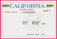 Free 50 California Drivers License Template Sample Free Inside Fake Business License Template