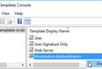 How To Create And Manage Windows Ssl Certificate Templates Within Best Workstation Authentication Certificate Template
