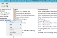 Hyperv Replica Certificate Based With Your Own Root For Best Workstation Authentication Certificate Template