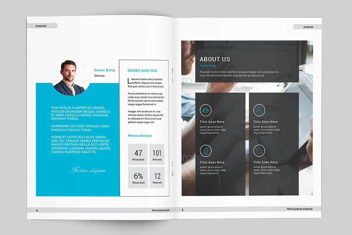 Business Plan Template Indesign Launcheffecthouston