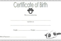 Kitten Birth Certificate Template 10 Cute Designs Free Regarding Birth Certificate Template For Microsoft Word