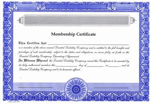Llc Member Certificate Template Latter Example Template Regarding Llc Membership Certificate Template