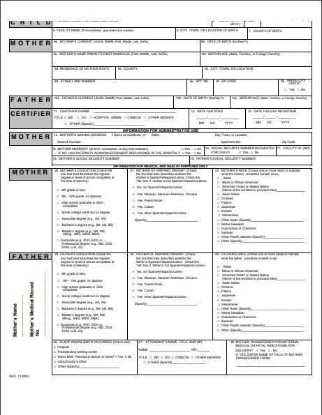 Official Birth Certificate Template Database With Regard To Official Birth Certificate Template