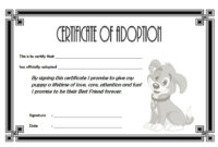 Puppy Adoption Certificate Templates Regarding Pet Adoption Certificate Template