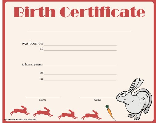 Rabbit Birth Certificate Printable Certificate Pertaining To Cute Birth Certificate Template