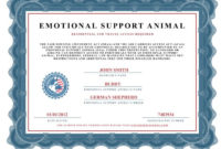 Service Dog Document Kit Service Dog And Emotional For Service Dog Certificate Template