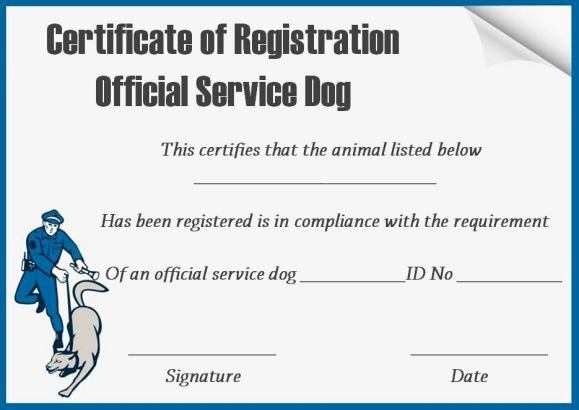Service Dog Id Card Template Free Download Peterainsworth With Regard To Best Service Dog Certificate Template