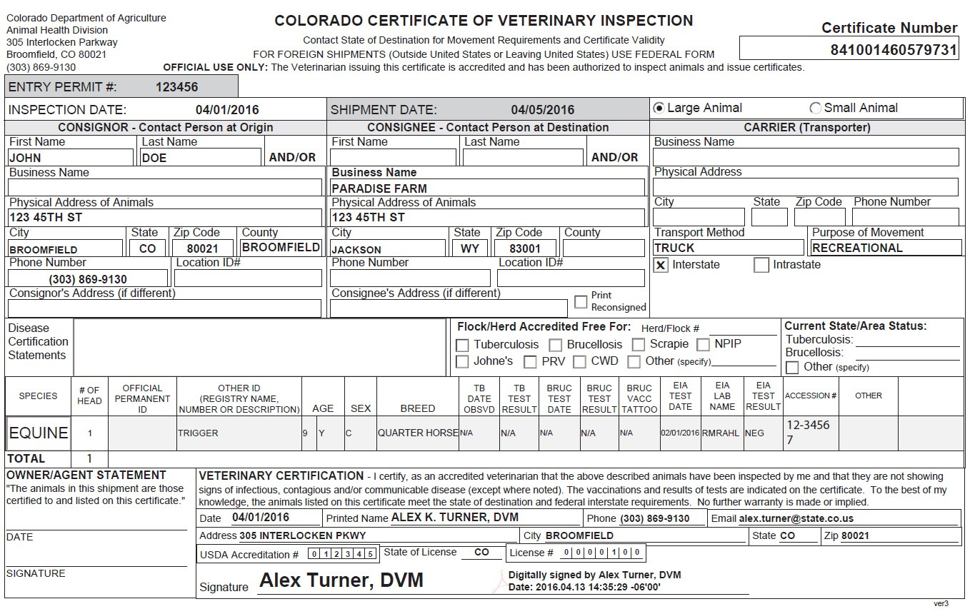 Veterinary Health Certificate Template Carlynstudio Within Printable Veterinary Health Certificate Template
