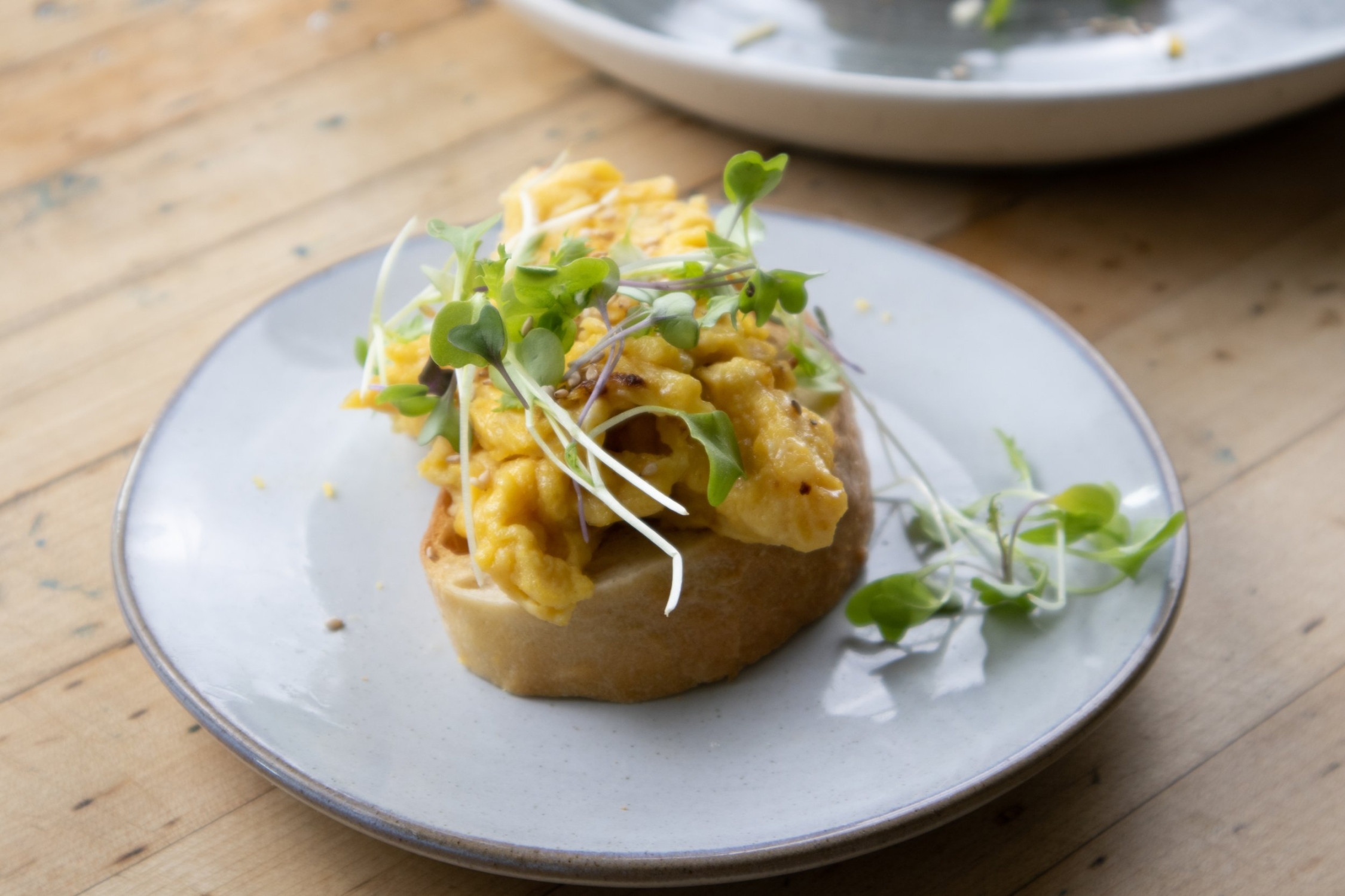 Three Sourdough Toast Breakfast Ideas! Three Sourdough Toast Breakfast Ideas!