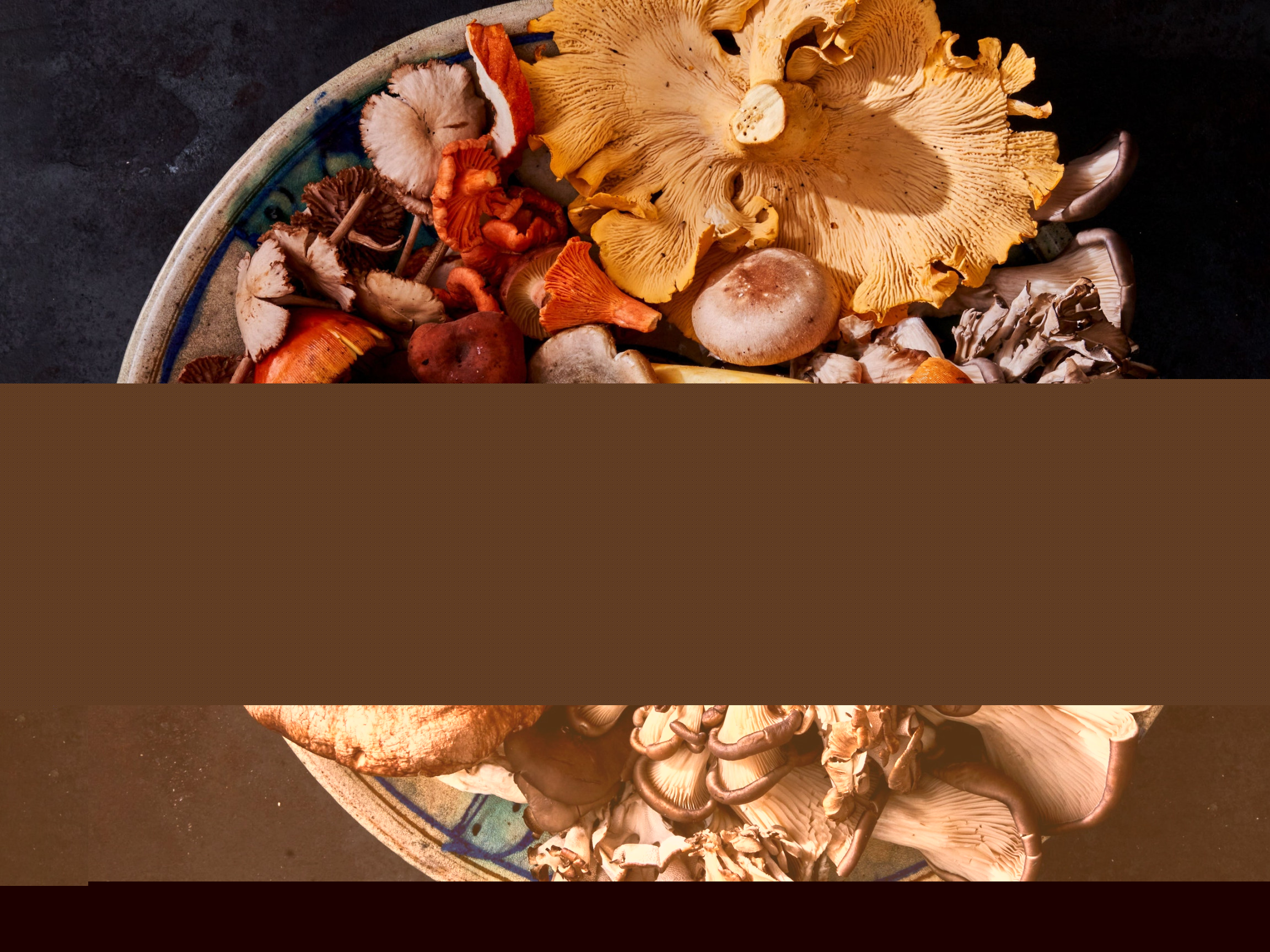 A New Cookbook Dives Into the Weird and Wonderful World of A New Cookbook Dives Into the Weird and Wonderful World of