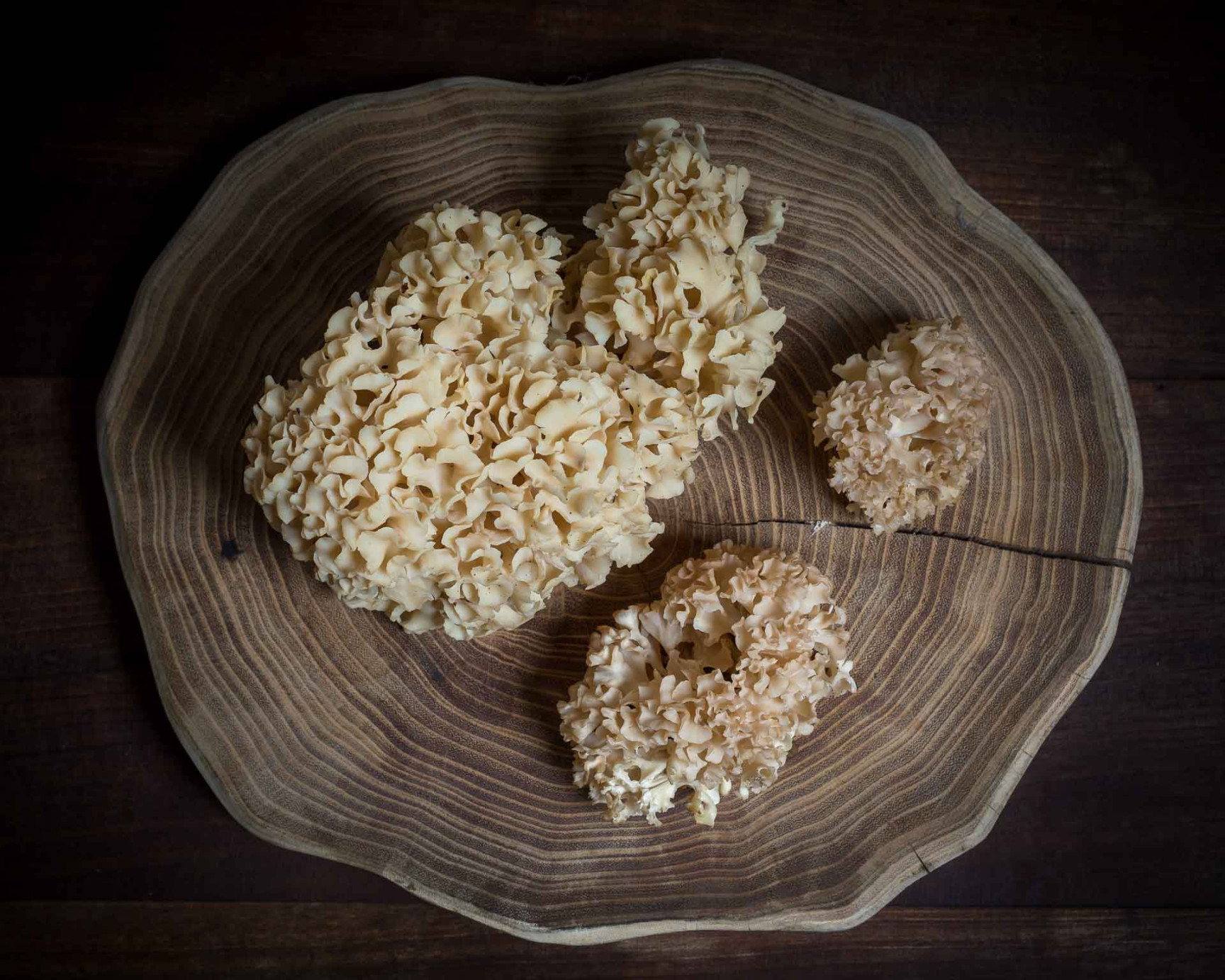 Cauliflower mushroom (Sparassis crispa) fried with egg Cauliflower mushroom (Sparassis crispa) fried with egg