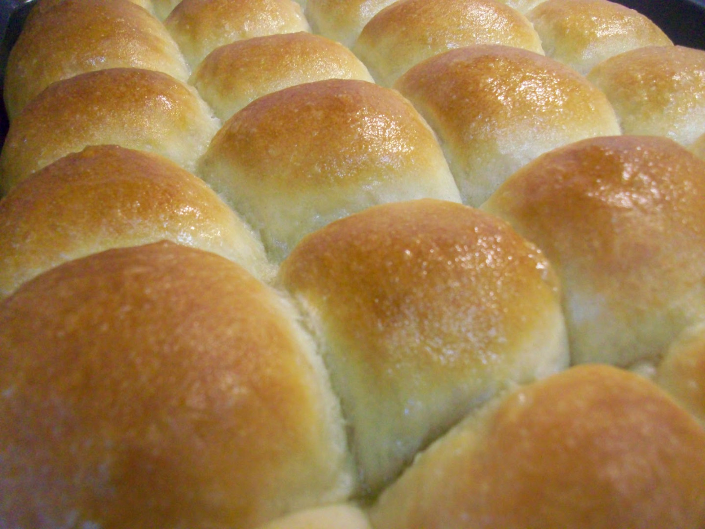 Dinner Rolls, no yeast Dinner Rolls, no yeast