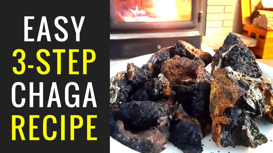 EASY Chaga Mushroom Recipe - From TREE to TEA EASY Chaga Mushroom Recipe - From TREE to TEA