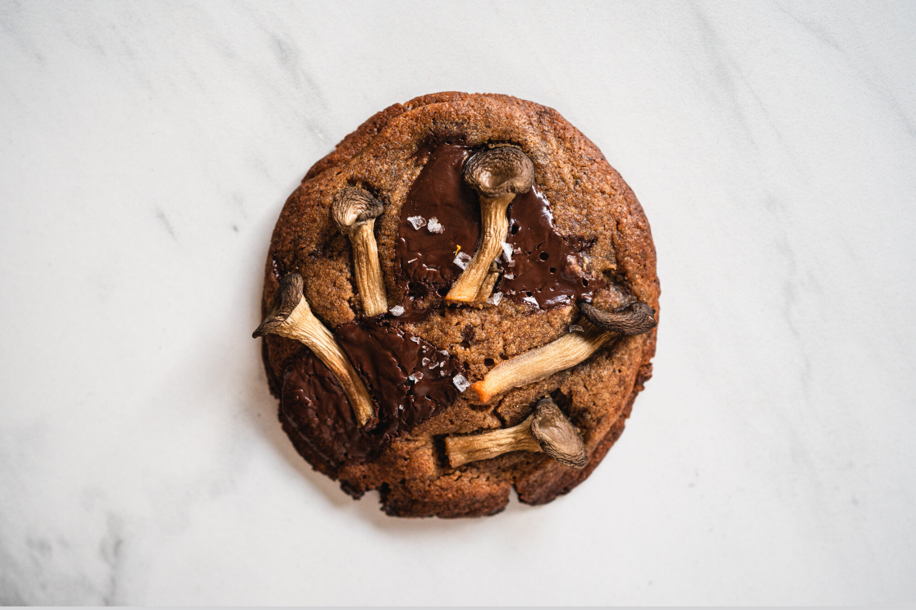 Mushroom Chocolate Cookies — Jun & Tonic