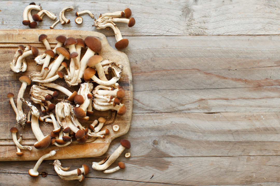 Pioppino Mushroom Recipe: How to Cook Pioppino Mushrooms -