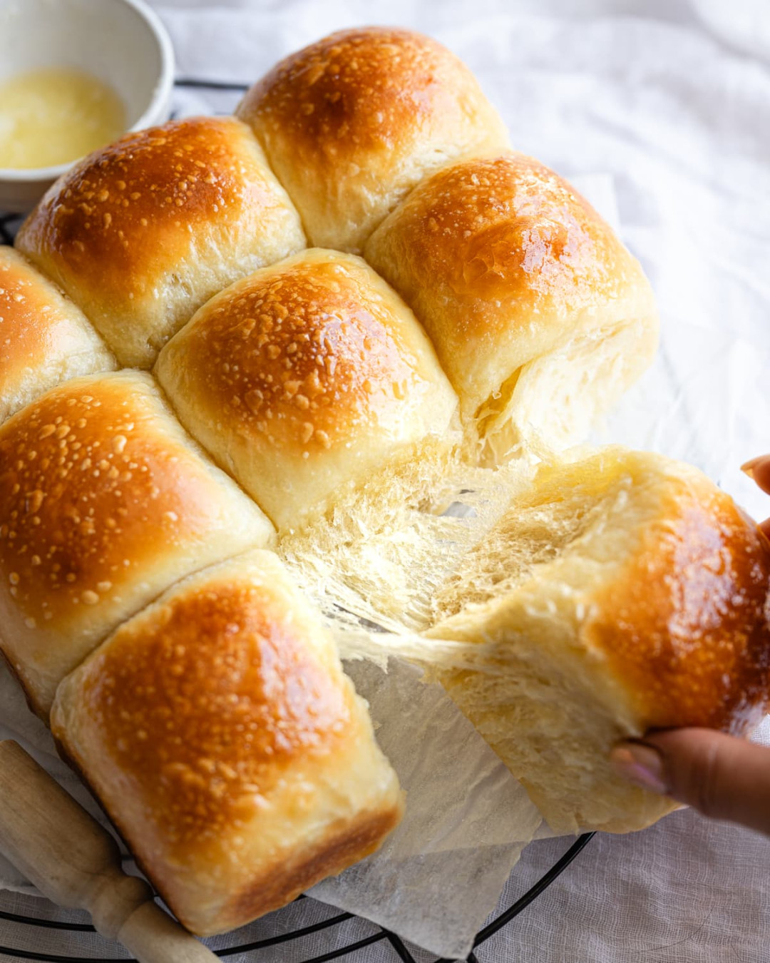 Sourdough Dinner Rolls Recipe Sourdough Dinner Rolls Recipe