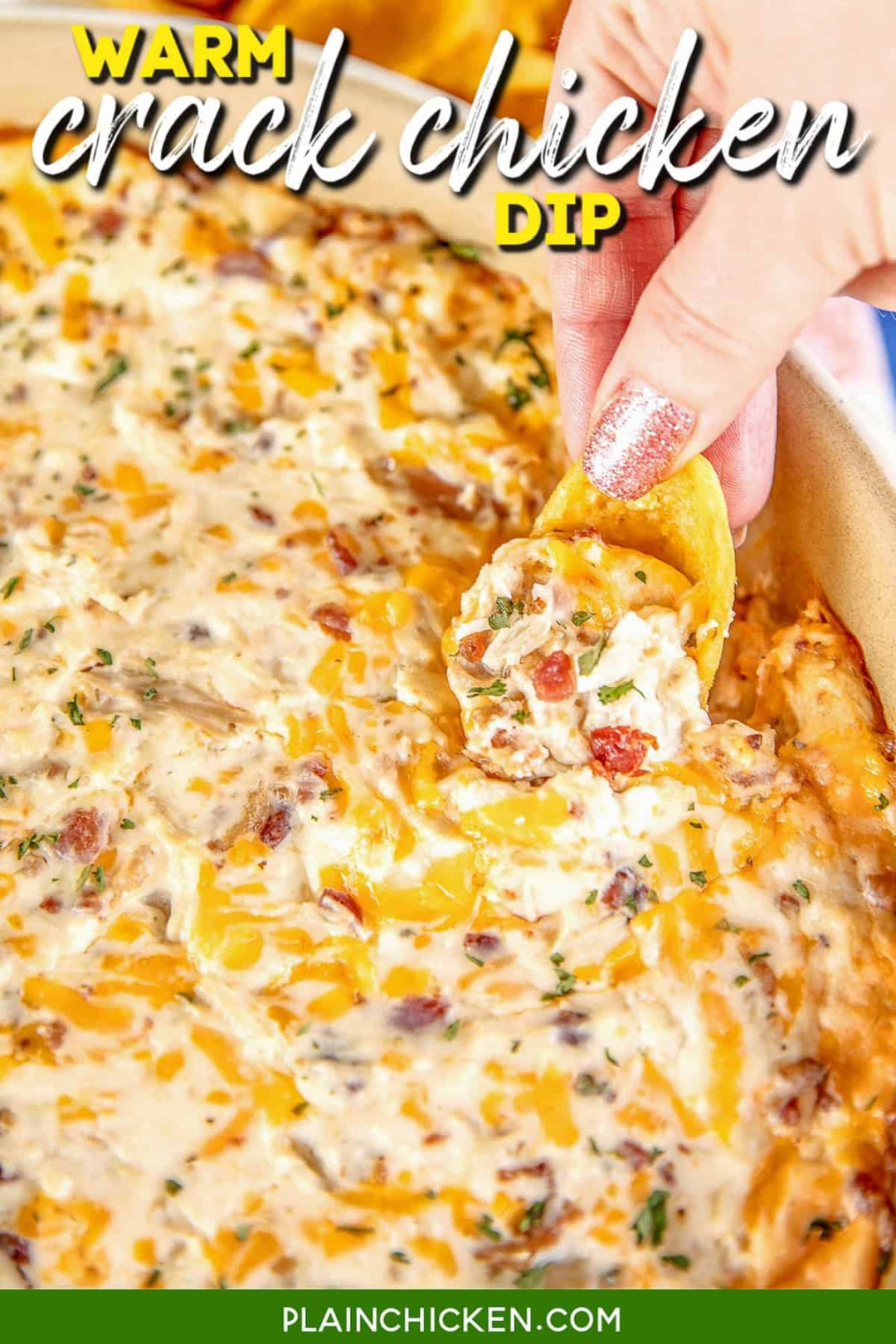 Warm Crack Chicken Dip - Football Friday - Plain Chicken